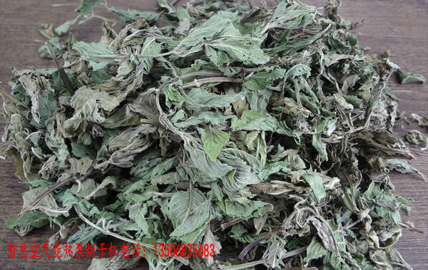 薄荷葉烘干機(jī)